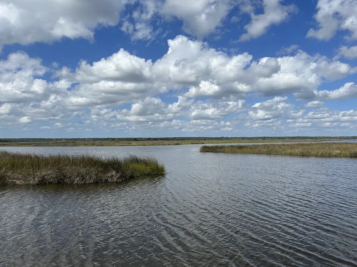 Blue sky with large white clouds over a wide stretch of water with reed islands